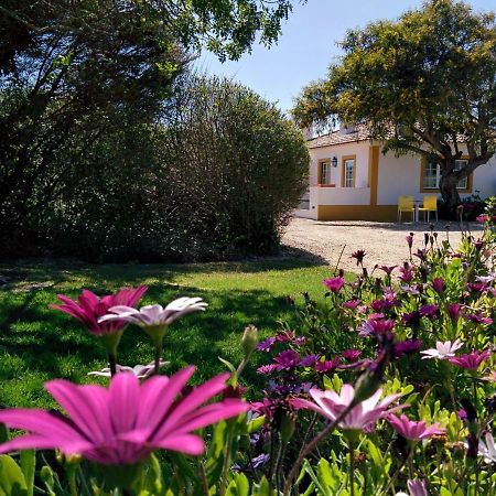 Casas Das Amoreiras Aldeia do Meco Luaran gambar